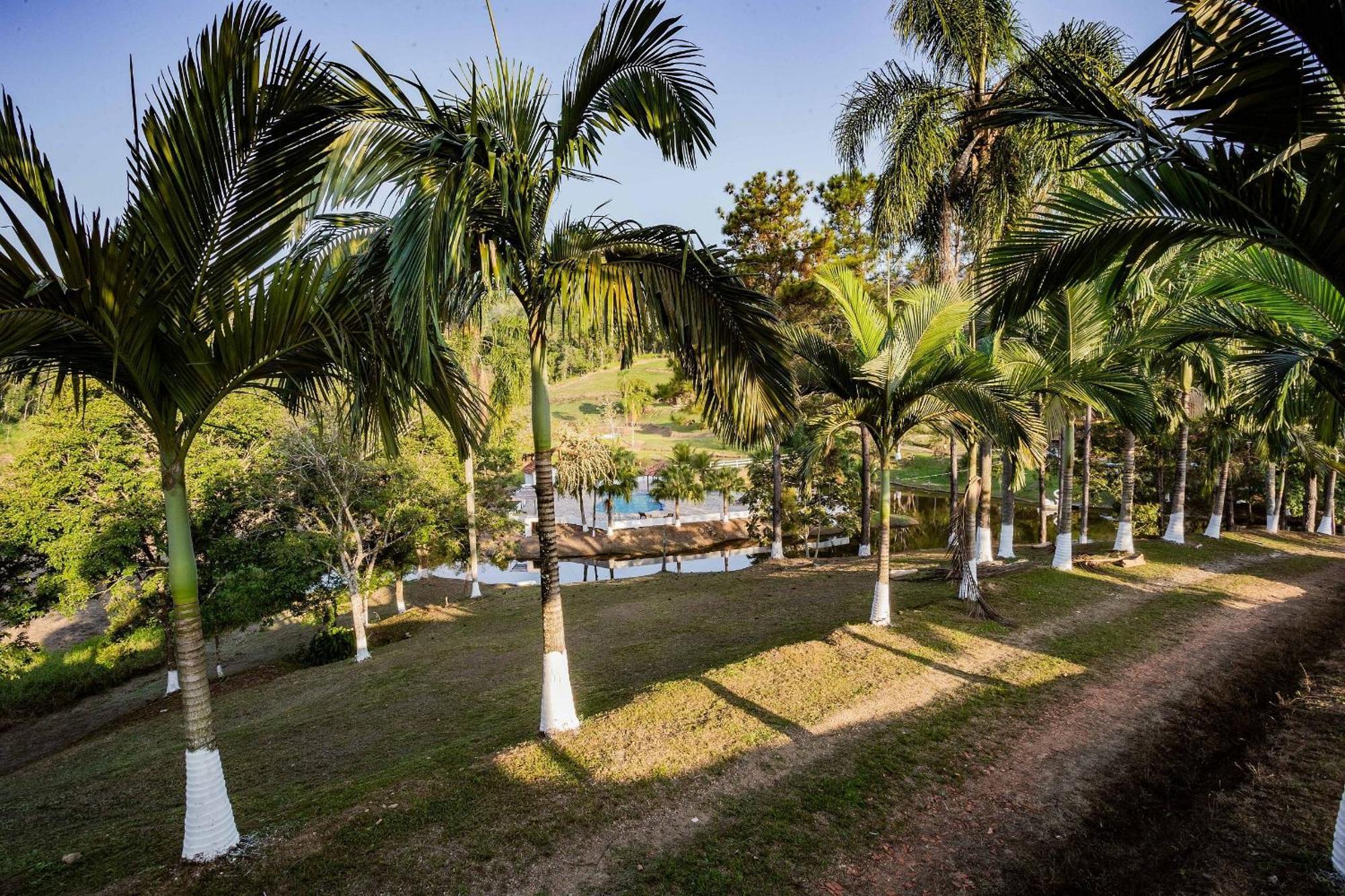 Recanto Das Aguas - Chales No Meio Da Mata Atlantica Eldorado Exterior foto